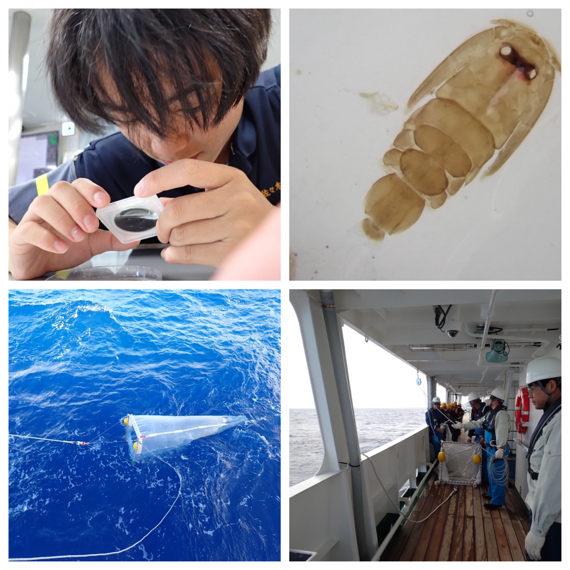 Blank 4 Grids Collage (41)